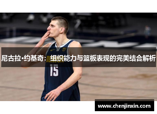 尼古拉·约基奇：组织能力与篮板表现的完美结合解析