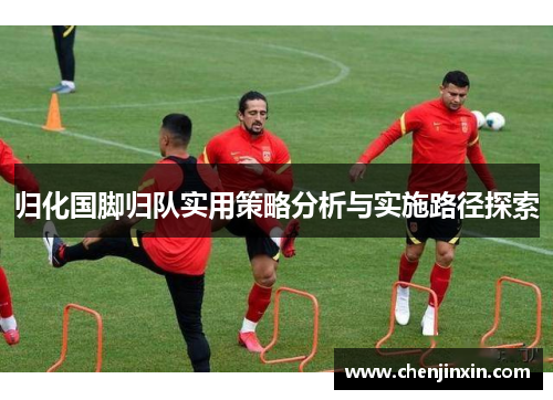 归化国脚归队实用策略分析与实施路径探索